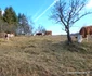 Satul Urșici din Hunedoara Foto Daniel Guță ADEVĂRUL (11) jpg