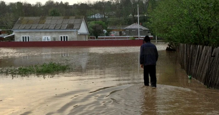 85 de hectare de terenuri agricole au fost inundate în oraşul Liteni. FOTO: Dinu ZARĂ