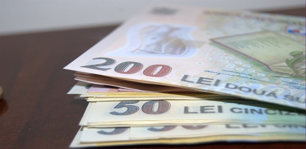 Șpaga cerută de un inginer silvic într-o anchetă de furt de lemne din Neamţ 