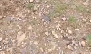 WhatsApp Video 2025 05 22 at 16 26 34 mp4 thumbnail png
