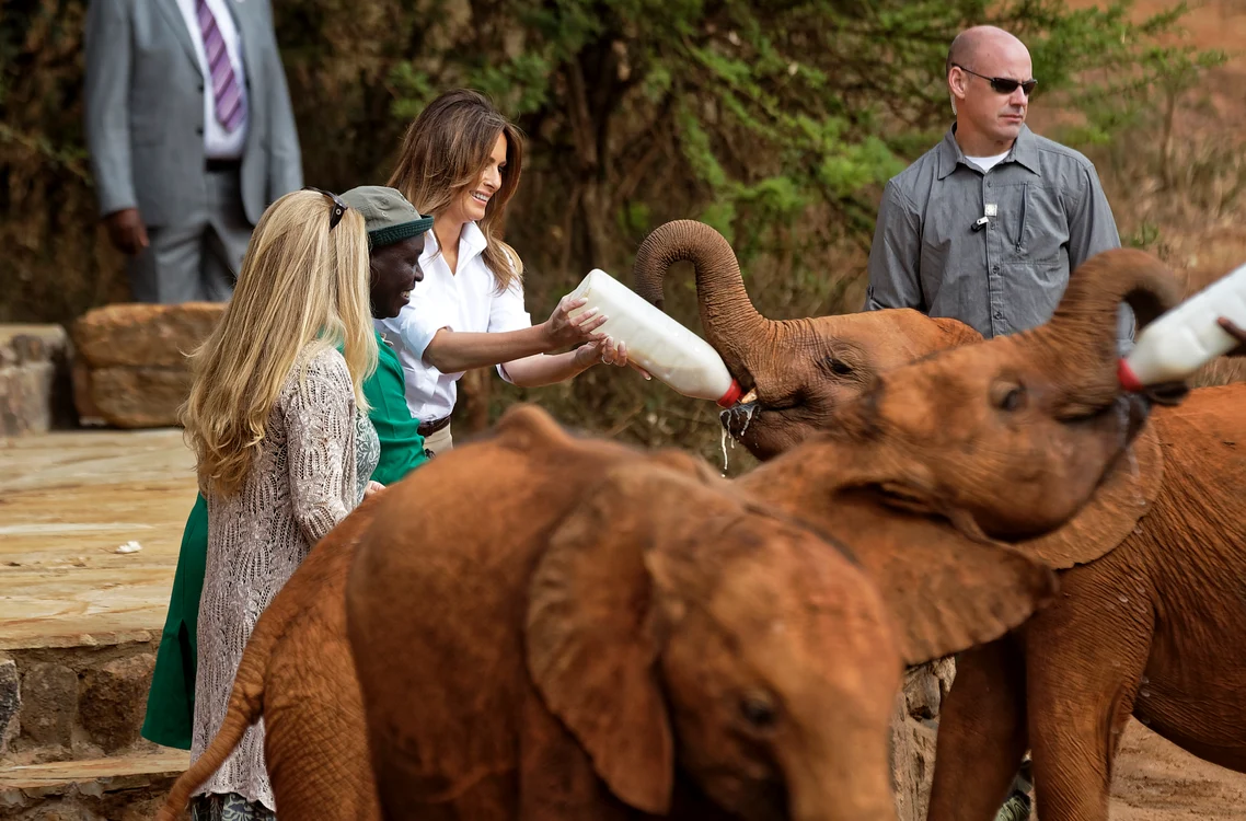 Melania Trump hrănește un pui de elefant în Kenya