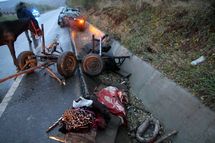 Unul dintre caii de la căruţă a fost accidentat mortal