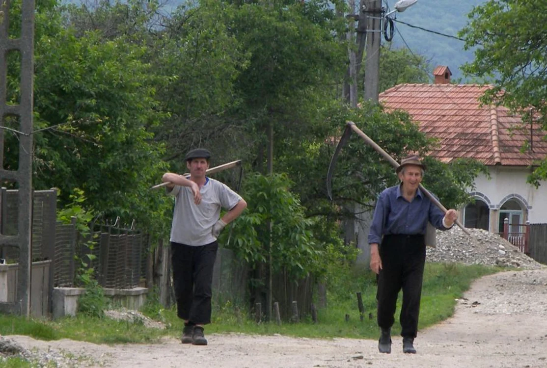 În căutarea liniștii jpeg