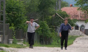 În căutarea liniștii jpeg