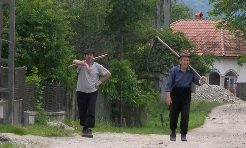 În căutarea liniștii jpeg