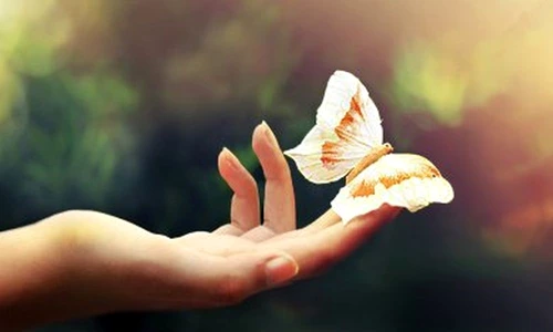 1 67936 original jpg jpeg