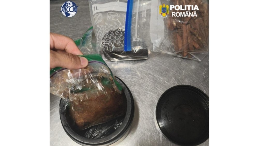 Ritualuri spirituale cu Ayahuasca și șamani, la o pensiune din Hunedoara. Ce a găsit DIICOT la percheziții. Trei persoane sunt cercetate