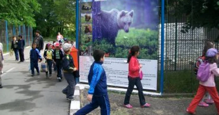 Râmnicu Vâlcea: Copiii au venit în număr mare la Gradina Zoologică de Ziua Porţilor Deschise