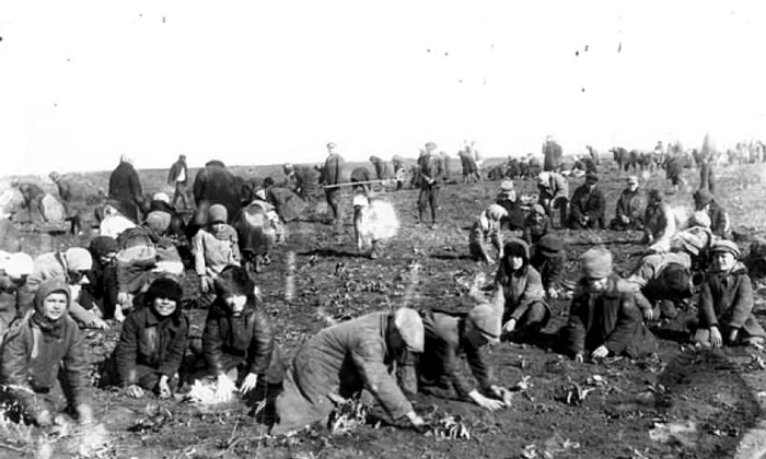 Culmea economiei sovietice în 1933 jpeg