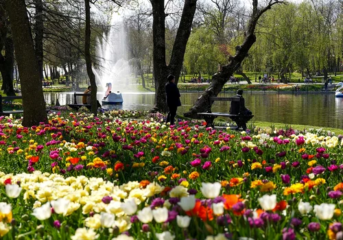 parc 2 JPG
