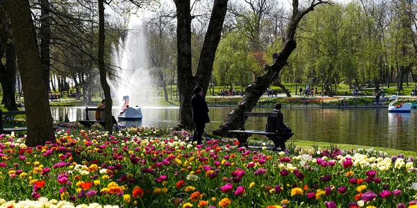 parc 2 JPG