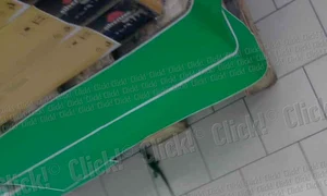 Şopârlă în hipermarketul Real din Craiova  (foto: Mădălin Stanciu) jpeg