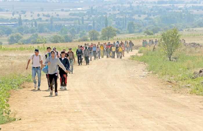 
    Lungul drum spre  o viață mai bună e  mai anevoios decât  au sperat imigranții   