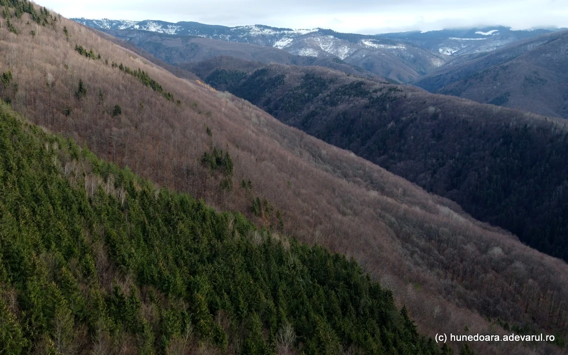 Cetatea dacica Fețele Albe  Foto Daniel Guță (1) JPG