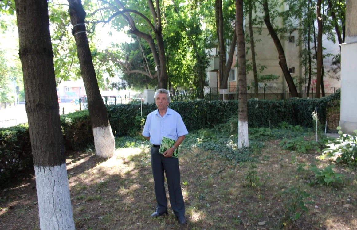 Păduricea din jurul blocurilor a fost amenajată de un Paul Iordache, un botoşănean pasionat de botanică. FOTO Cosmin Zamfirache