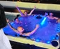 Dinu Maxer și viitoarea lui mireasă, Magdalena Chihaia, au făcut petrecerea burlacilor în Tenerife!