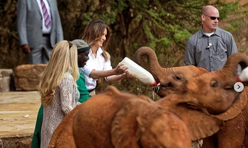 4 melania trump5 png png