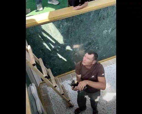 cavou soroca gif gif