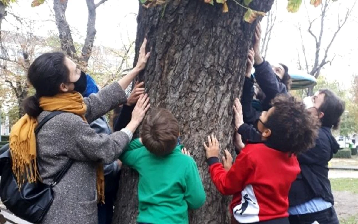 Câţiva clujeni au căutat copacii uscaţi din Parcul Ştefan cel Mare, dar nu i-au găsit. FOTO: Paula Boarţă