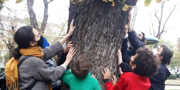 cluj copaci parc stefan cel mare. foto paula boarta