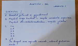 anatomie bac 2025 sub I jpeg