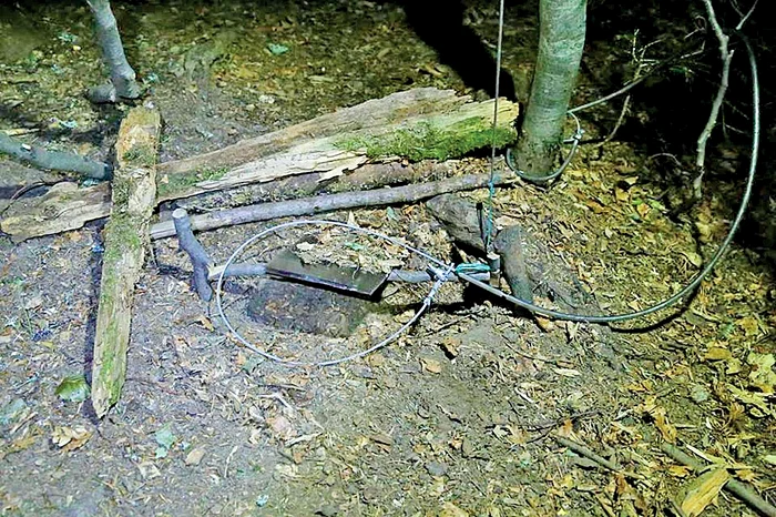 Pădurarii şi jandarmii montani l-au eliberat la timp pe animăluţ