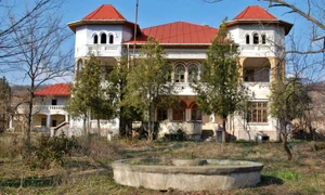 conac gussi golescu leordeni foto Sothebys Romania jpeg