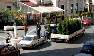 Ziua Europei: Cum se bifează un eveniment jpeg