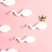 fertilitate shutterstock 2157527283 jpg