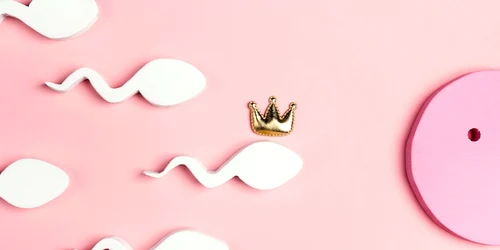 fertilitate shutterstock 2157527283 jpg