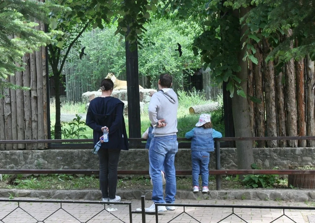 
    Zoo Băneasa s-a deschis vineri, 15 mai, și deja a avut vizitatorifoto: Mihai Ionescu  