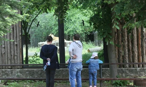 zoo baneasa 2 jpeg
