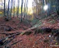 Drumul spre peștera din Valea Rea Foto Daniel Guță (15) jpg