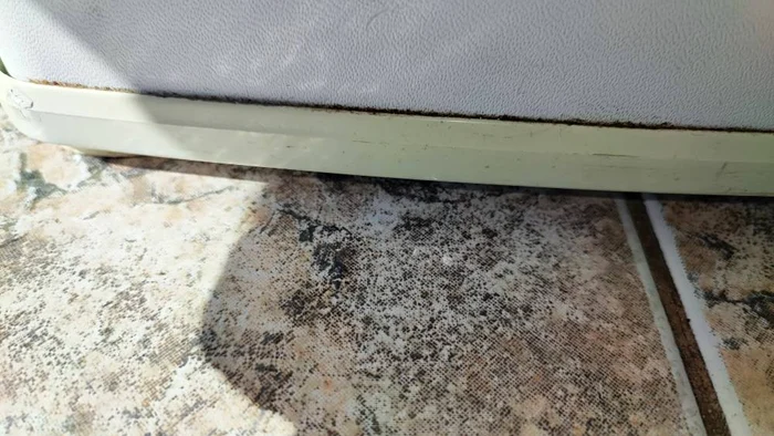 Hotelul era plin de mucegai / foto: Facebook