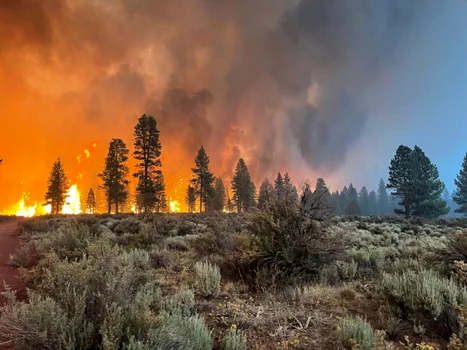 Bootled Fire - incendiul cu care se luptă americanii de peste două săptămâni. FOTO Profimedia