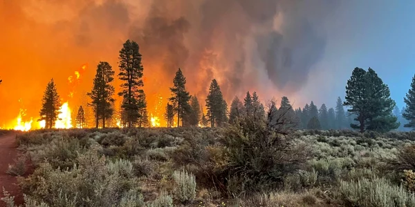 Bootled Fire - incendiul cu care se luptă americanii de peste două săptămâni. FOTO Profimedia