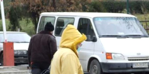 Neamţ: A apărut primul caz de gripă porcină