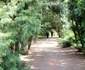 Parcul dendrologic Simeria Foto Daniel Guță ADEVĂRUL (28) JPG
