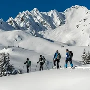 Screenshot 2025 12 31 203419 jpg