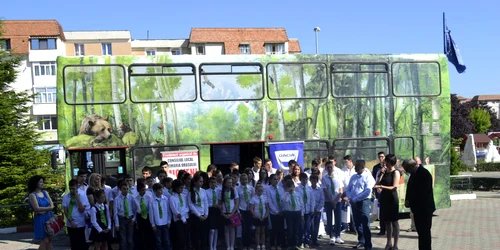 “Regatul Sălbatic”