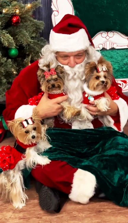 Sammie, Maddie și Minnie s-au întâlnit cu Moș Crăciun (Foto: Profimedia)