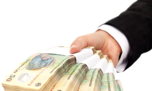 bani lei bancnote shutterstock jpeg