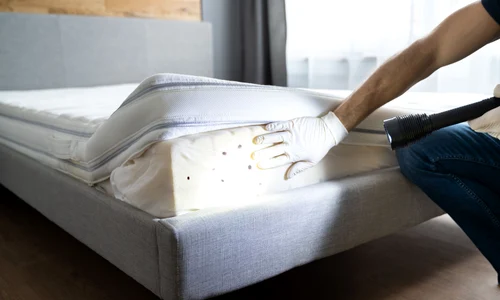 Plosnite FOTO Shutterstock jpg