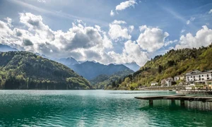 lac barcis1 jpeg