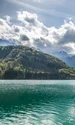 lac barcis1 jpeg