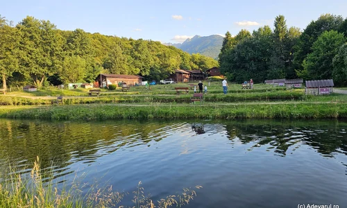 Pastravarie la poalele Fagarasului. Foto Daniel Guta jpg