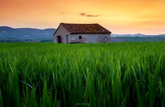 fotografii italia foto ionut burloiu