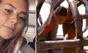 cub alexandra duli animat gif