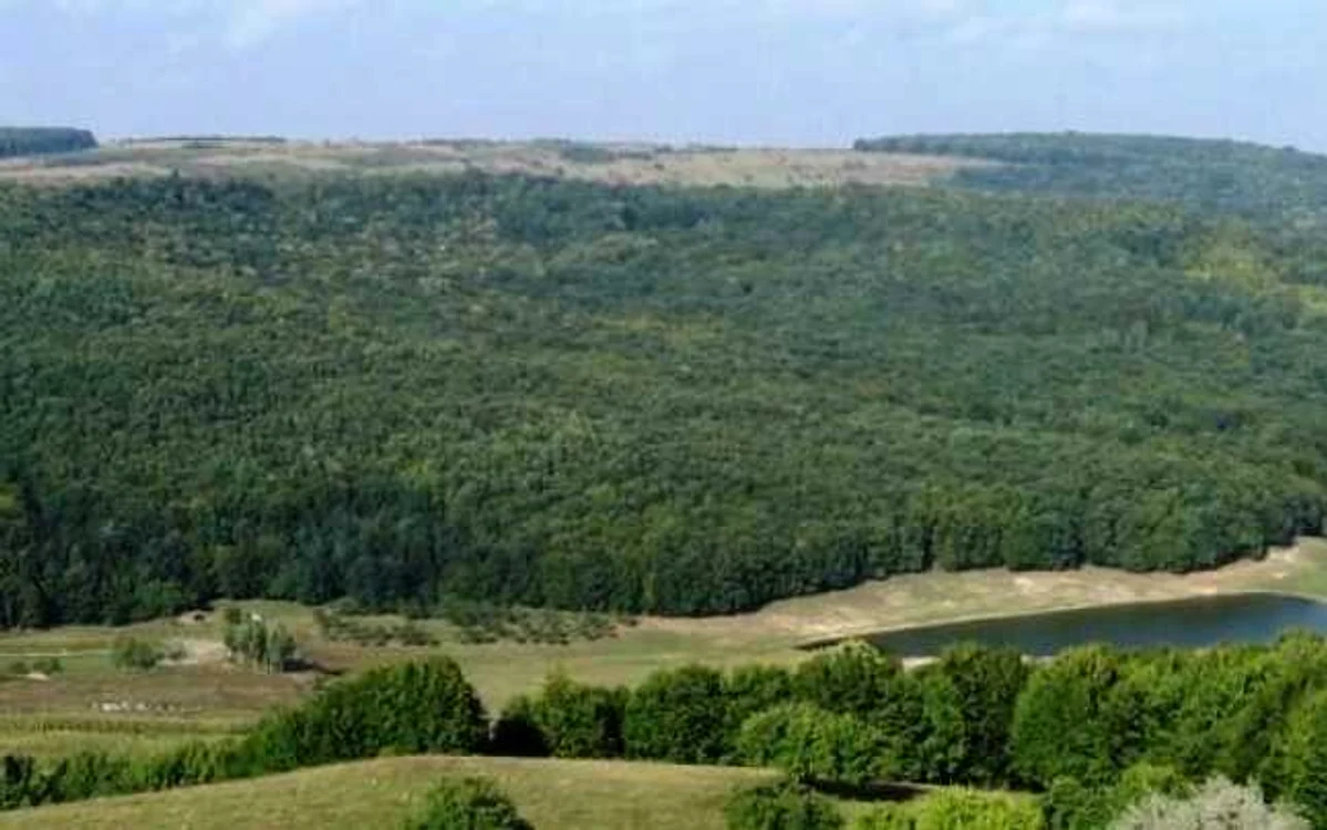 Prefectura Covasna spune că va acţiona n instanţă pentru anularea titlurilor de proprietate FOTO wikipedia