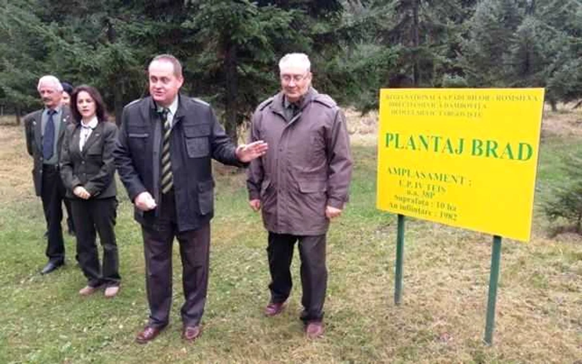 Directorul Costel Preda vorbeşte despre o secetă în silvicultură pe care nu a mai văzut-o niciodată de când lucrează ca silvicultor